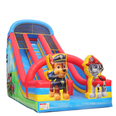 Two Lane PAW Patrol slide