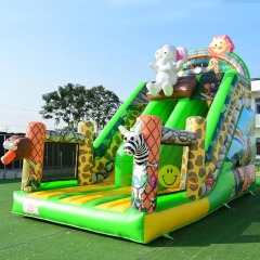 animal world rainbow zoo slide
