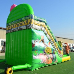 animal world rainbow zoo slide