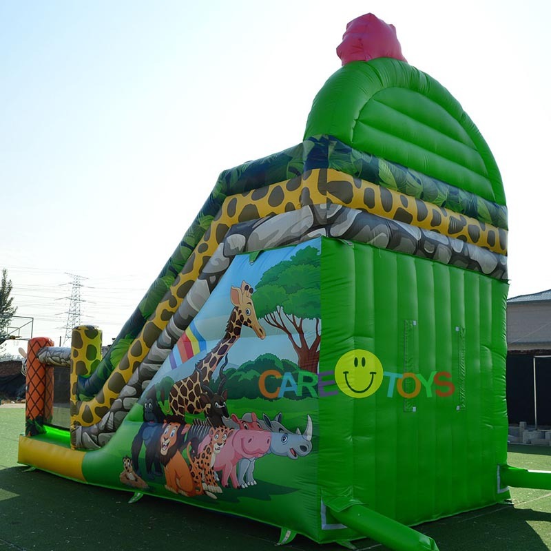 animal world rainbow zoo slide