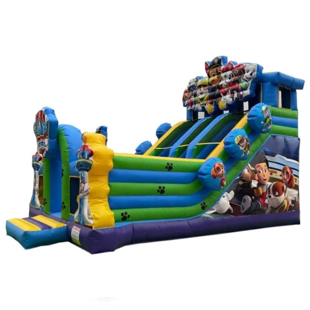 double lane paw patrol slide