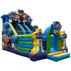 double lane paw patrol slide