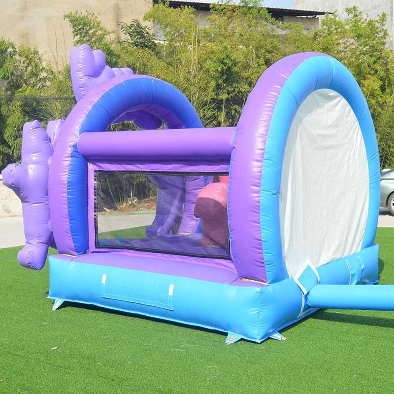 bluey bouncer