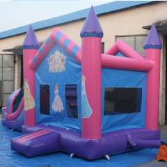 Princess Castle w/ Slide
