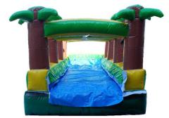 Palm Tree Slip N Water Slide