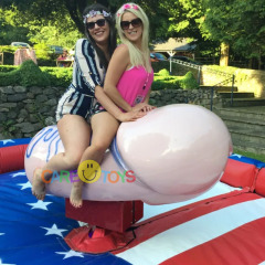 Mechanical Rodeo Penis