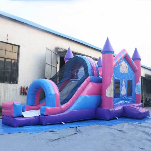 Princess Castle w/ Slide