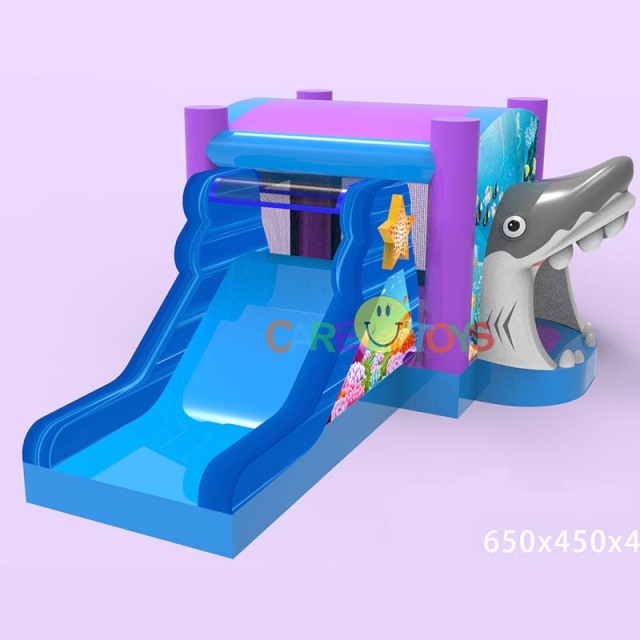 3D Shark Dry Combo
