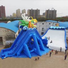 Chinese Dragon Storm Adult Waterslide