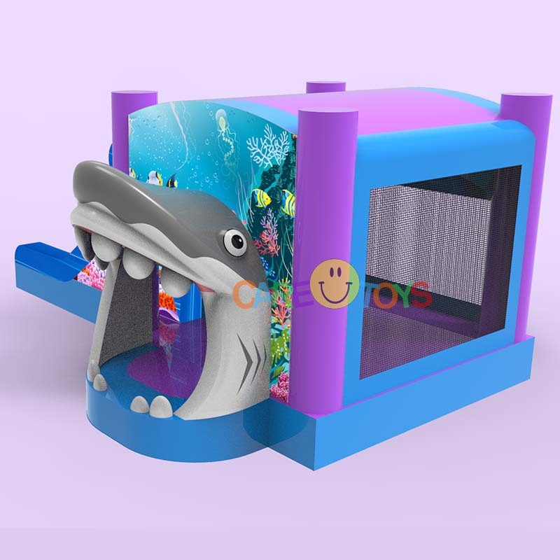 3D Shark Dry Combo