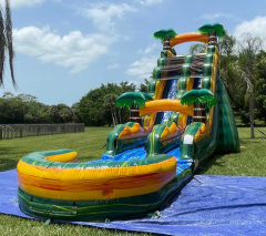 Miami Beach Siesta Palms Water Slide