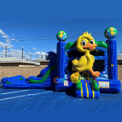 Rubber Duckie Wet Dry Combo
