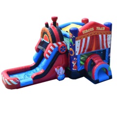 Circus Train Wet Dry Combo
