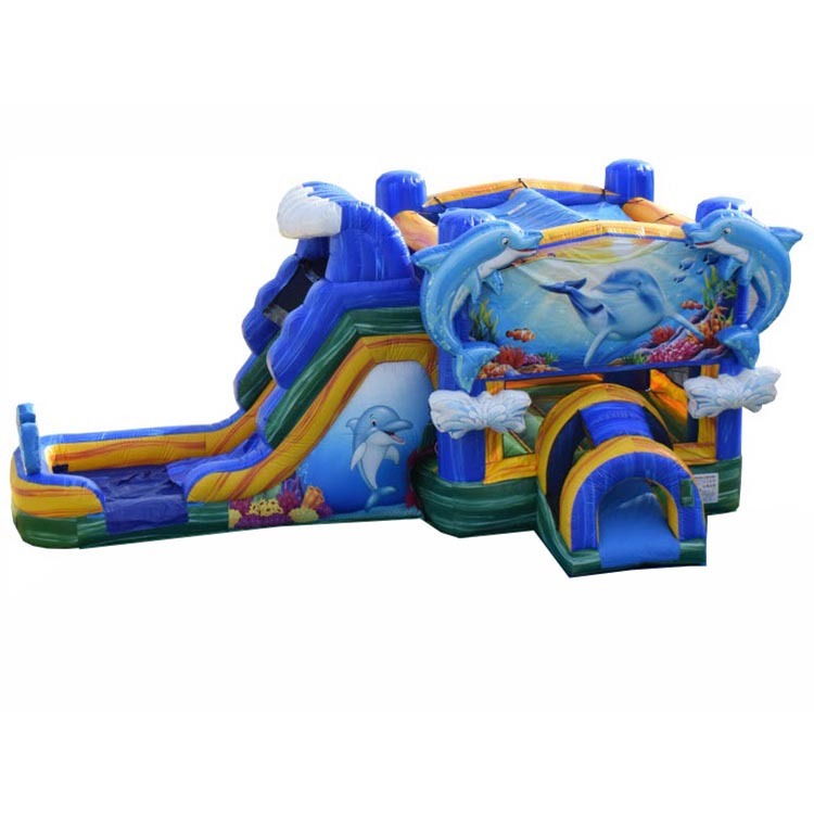 3D Dolphin Splash Water Combo
