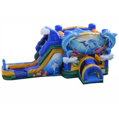 3D Dolphin Splash Water Combo
