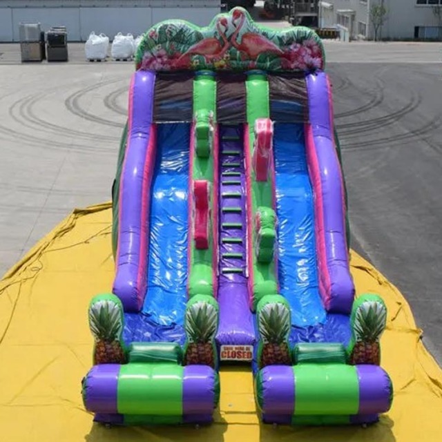 Flamingo Dual Lane Slide