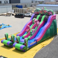 Flamingo Dual Lane Slide