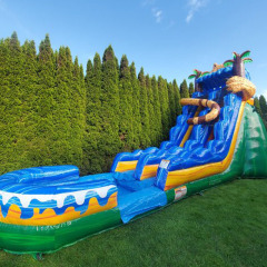 19ft Wild Cat Slide