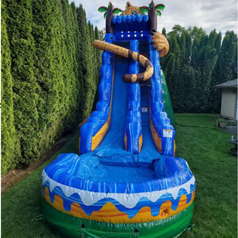 19ft Wild Cat Slide
