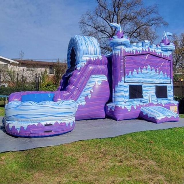 Purple Frozen Palace Banner Combo