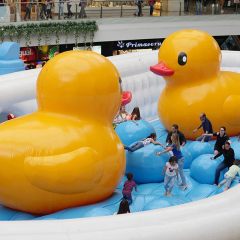 Giant Inflatable bathtub jumping world