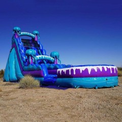 19ft Jelly Fish Waterslide