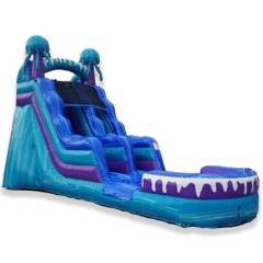17ft Jelly Fish Slide