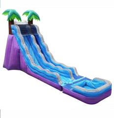 22ft Purple Blue Tropical Slide