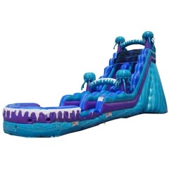 19ft Jelly Fish Waterslide