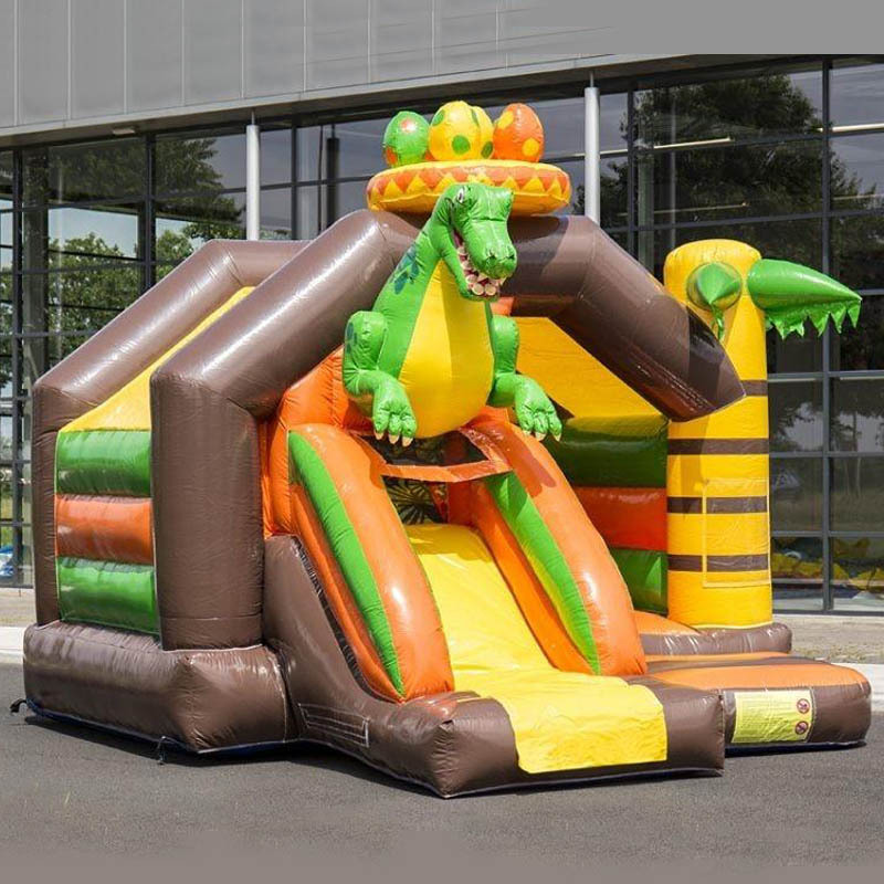 Dinosaur Front Slide Combo