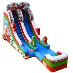16ft Christmas Wet Dry Slide
