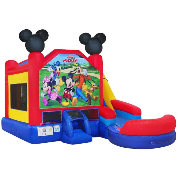 Disney Mecky Bounce Wet/Dry Combo
