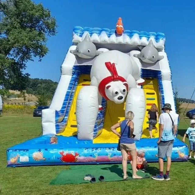White Polar Bear Slide