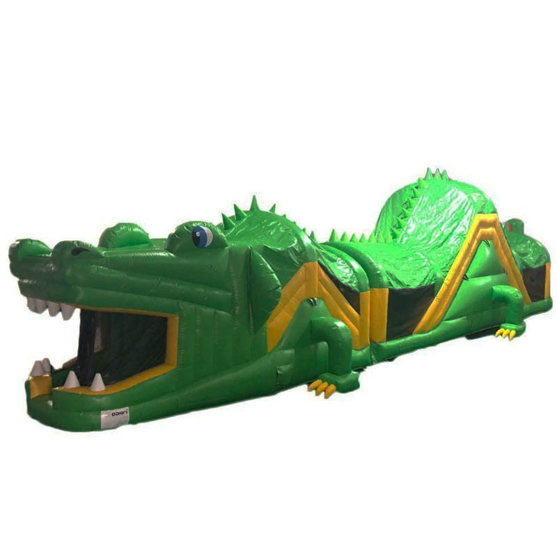 Crocodile Obstacle Challenge