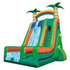 22ft Rainbow Tropical Slide