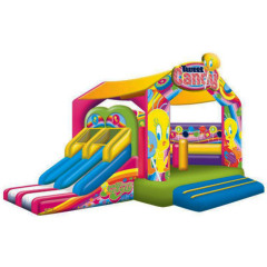 Tweety Bird Bouncy Castle