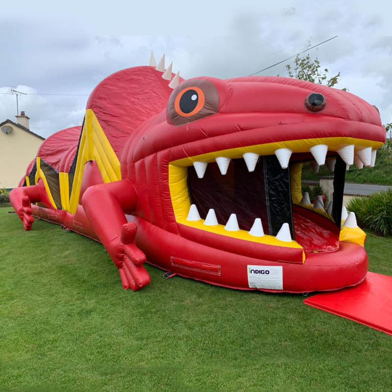 Lizard Fun Run Challenge