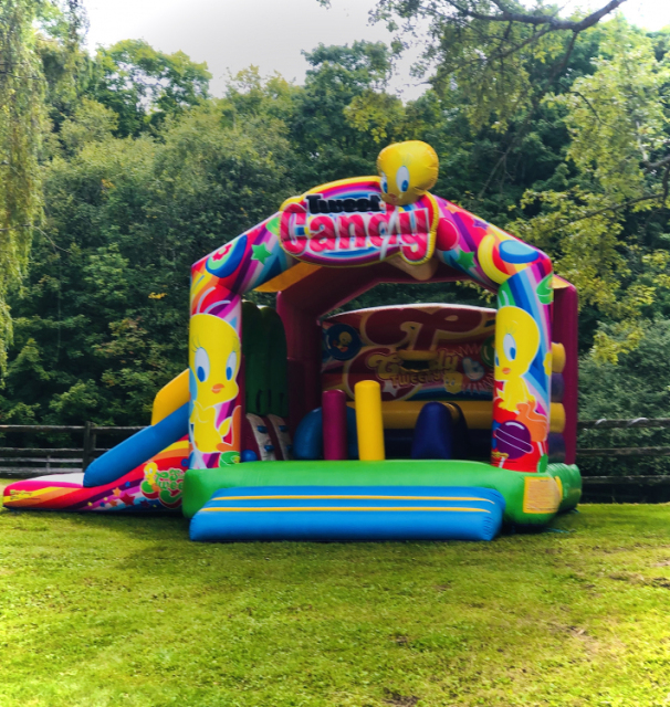 Tweety Bird Bouncy Castle