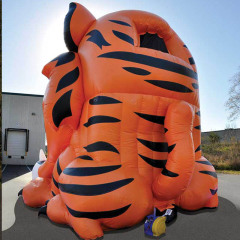 Tiger Slide