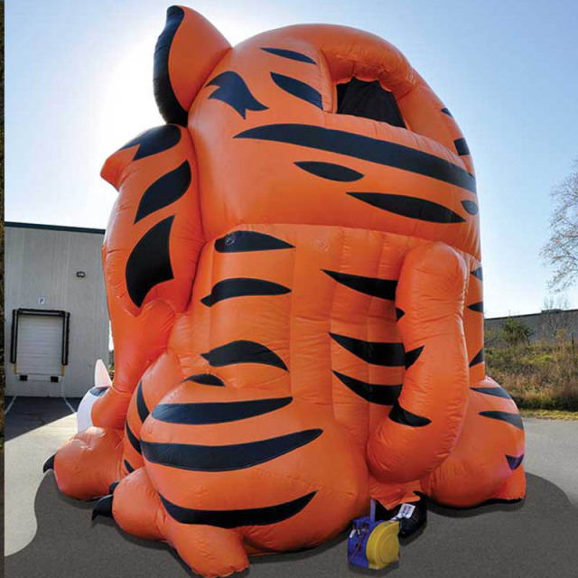 Tiger Slide