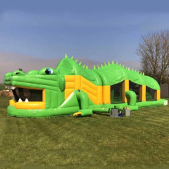 Crocodile Obstacle Challenge