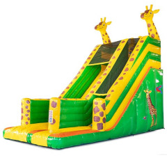 The Giraffe Slide