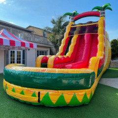 18ft Lava Palm Tree Slide