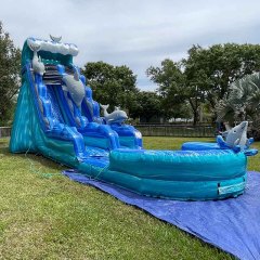 20ft Dolphin Wave Waterslide