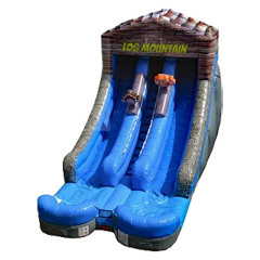 Wild Log Dual Lane Slide