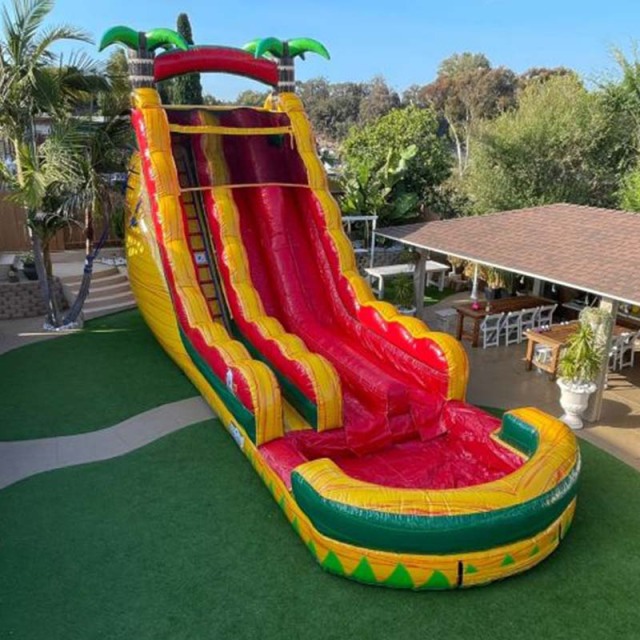 18ft Lava Palm Tree Slide