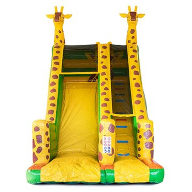 The Giraffe Slide