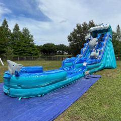 20ft Dolphin Wave Waterslide