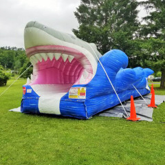 Shark Slip N Slide
