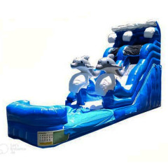 18ft Dolphin Splash Waterslide